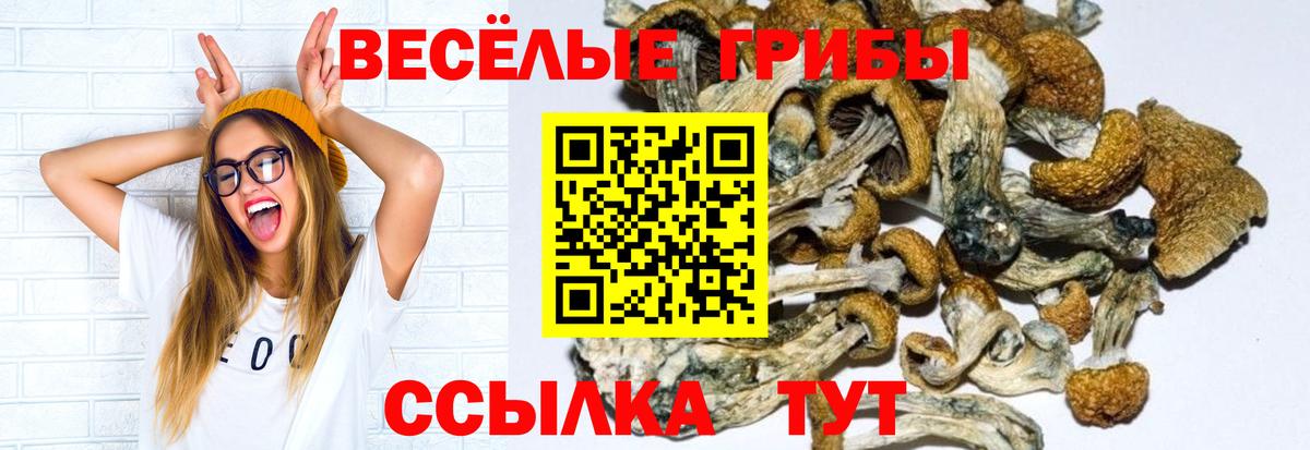 Псилоцибиновые грибы прущие грибы Магнитогорск