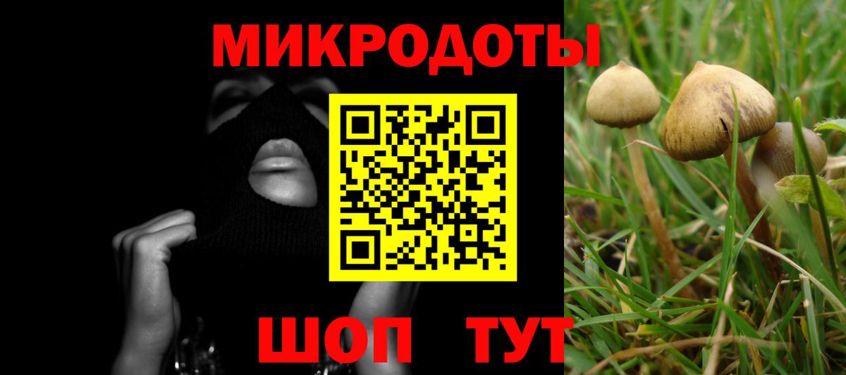 Псилоцибиновые грибы Psilocybe  Псилоцибиновые грибы мицелий  Магнитогорск  Вход с VPN 